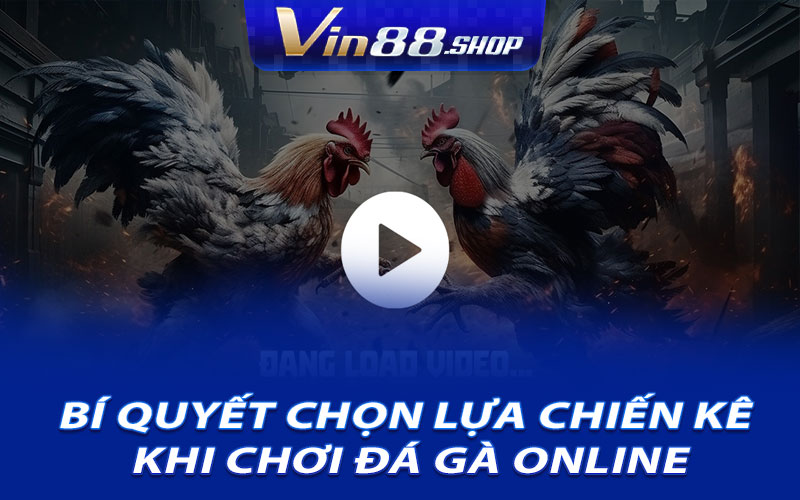 Bí quyết chọn lựa chiến kê khi chơi đá gà online