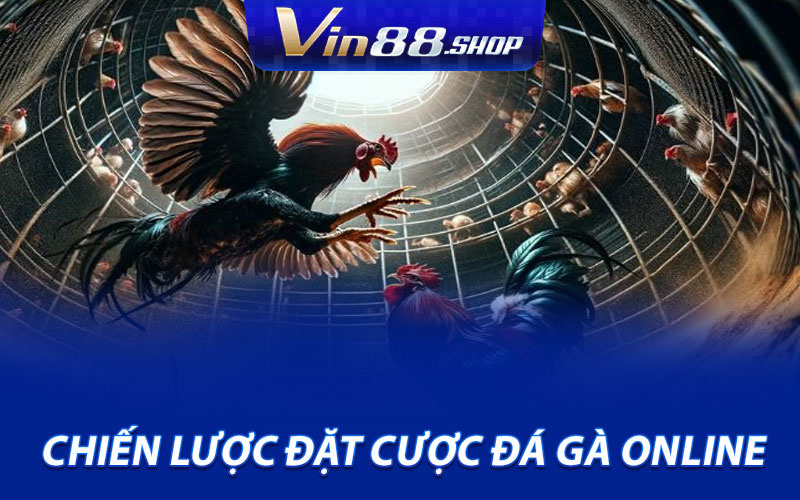Chiến lược đặt cược đá gà online chuyên nghiệp như những bậc thầy