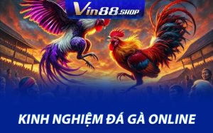 Kinh Nghiệm Đá Gà Online