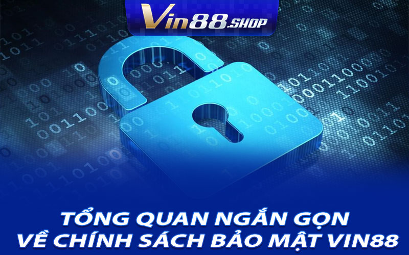 Tổng Quan Ngắn Gọn Về Chính Sách Bảo Mật Vin88